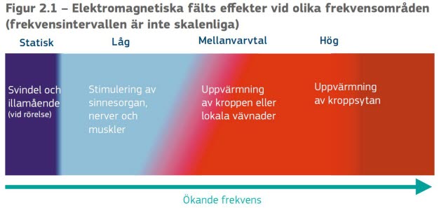 Ett diagram visar de elektromagnetiska fältens direkta effekter för olika frekvensområden