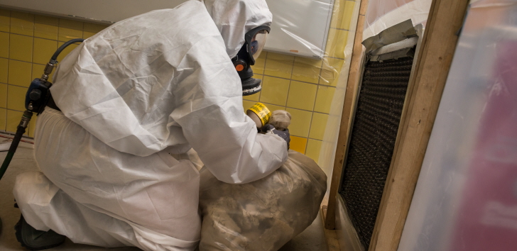 asbestos Removal
